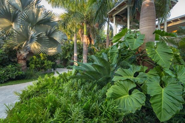 Tropical Landscaped Garden