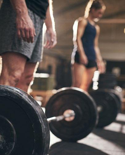 Indoor & Outdoor Gyms