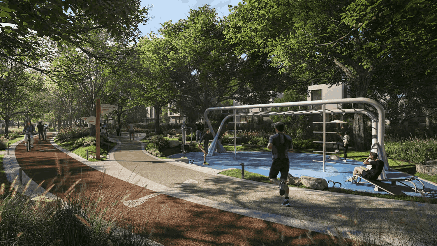 Strength and Conditioning Podium & Monkey Bars