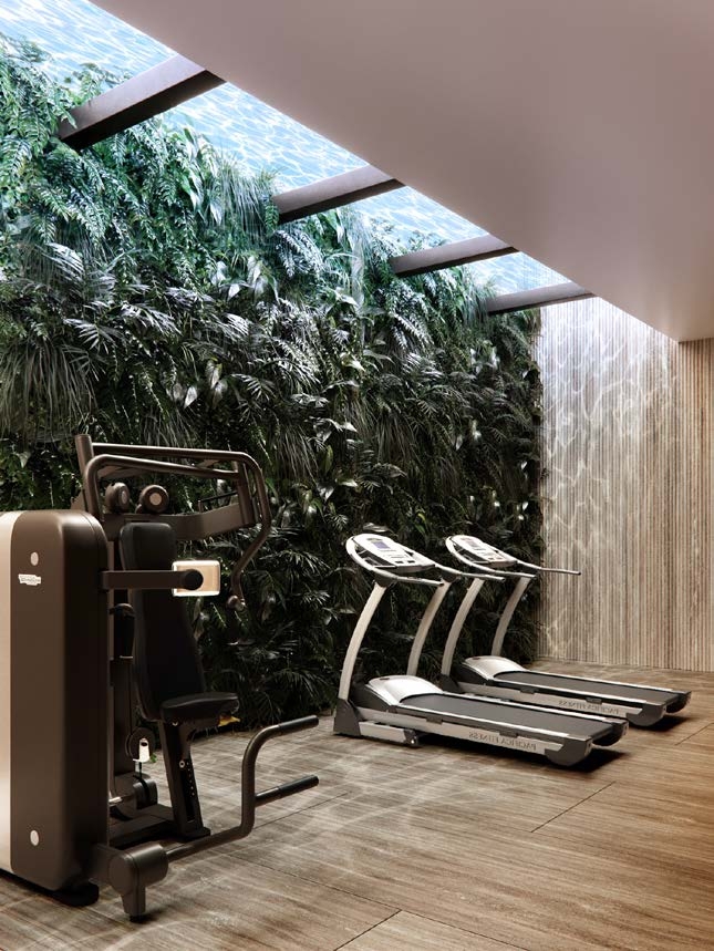 State-of-the-art Workout